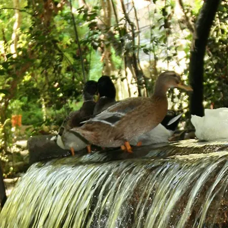 Selale Cennet Evleri