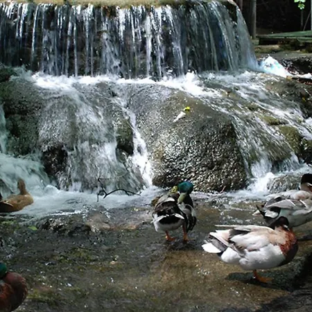 Selale Cennet Evleri *