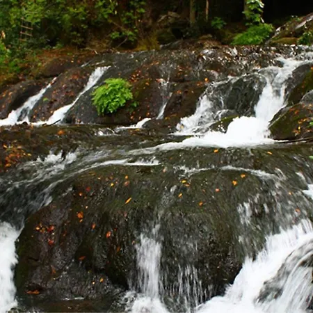 Отель Selale Cennet Evleri *