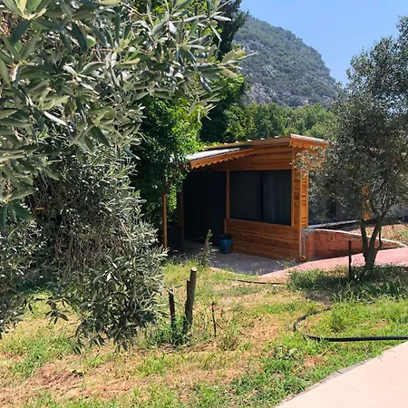 Selale Cennet Evleri Hotel Kemer