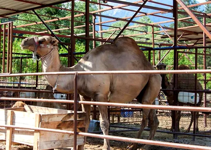 Selale Cennet Evleri Hotell *