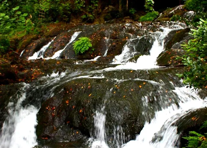 Selale Cennet Evleri